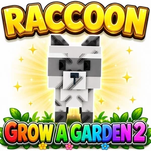 Raccon